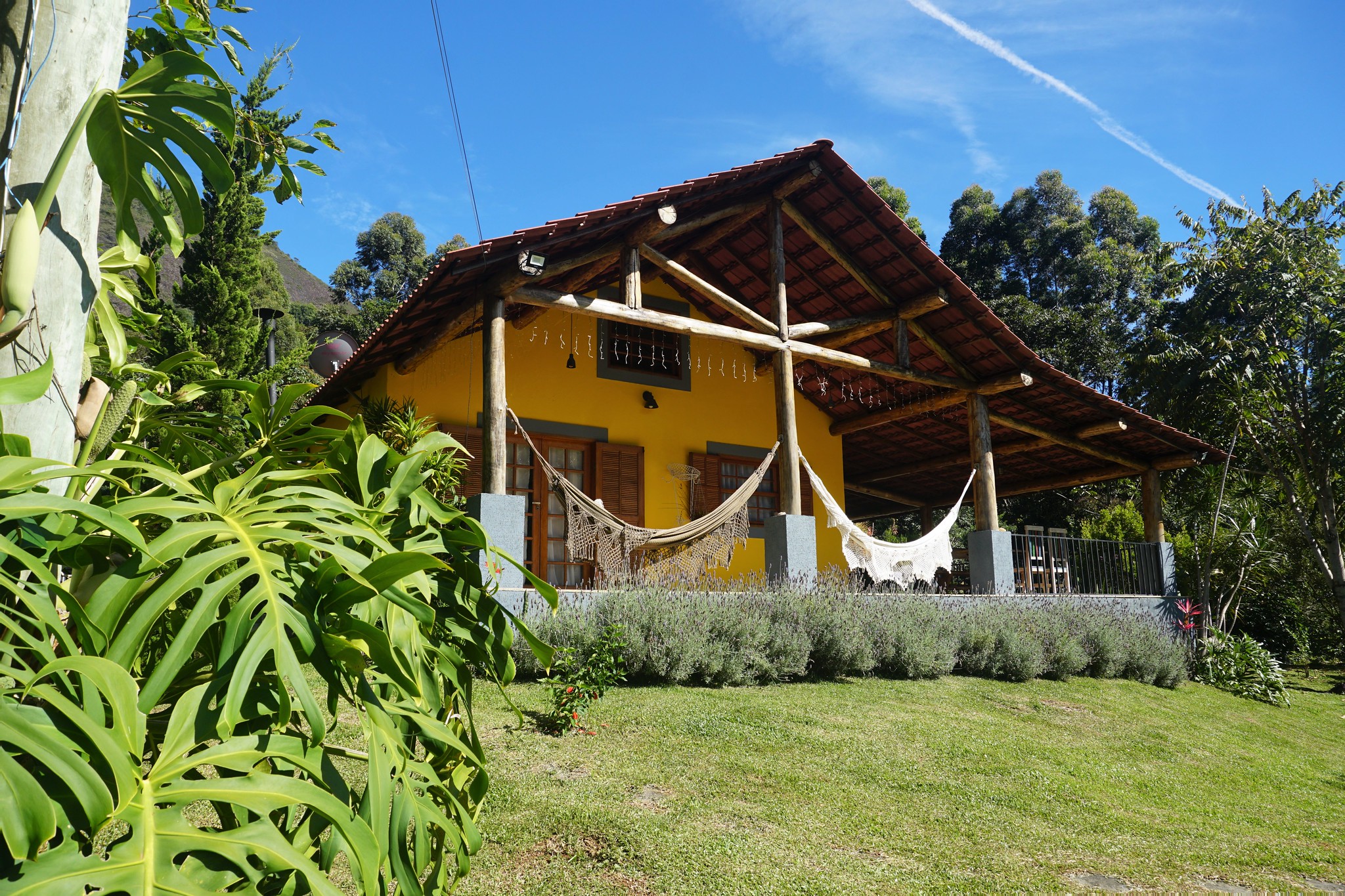Image of Grilled Tilapia