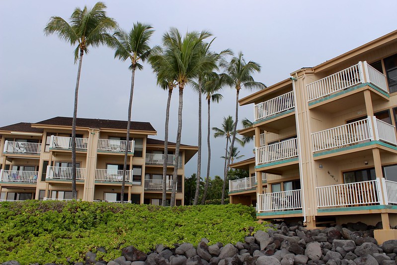Image of Grilled Tilapia