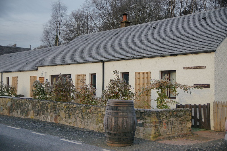 Image of Grilled Tilapia